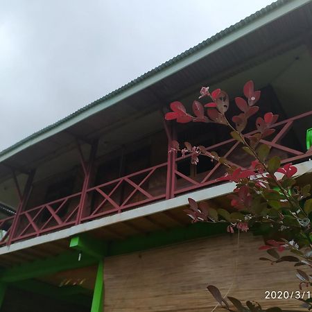Green Forest Tangkahan Rum bild