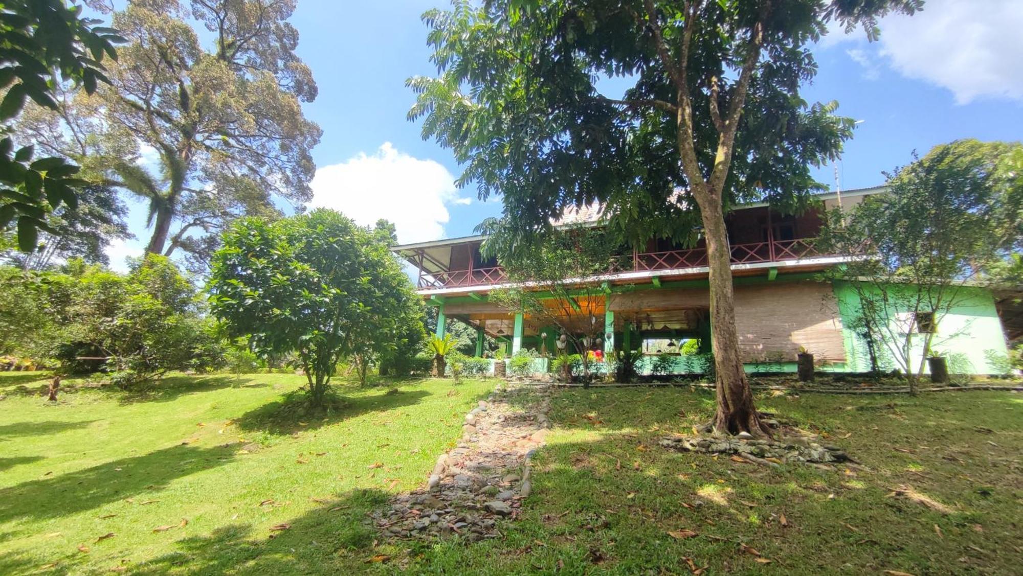 Green Forest Tangkahan Rum bild