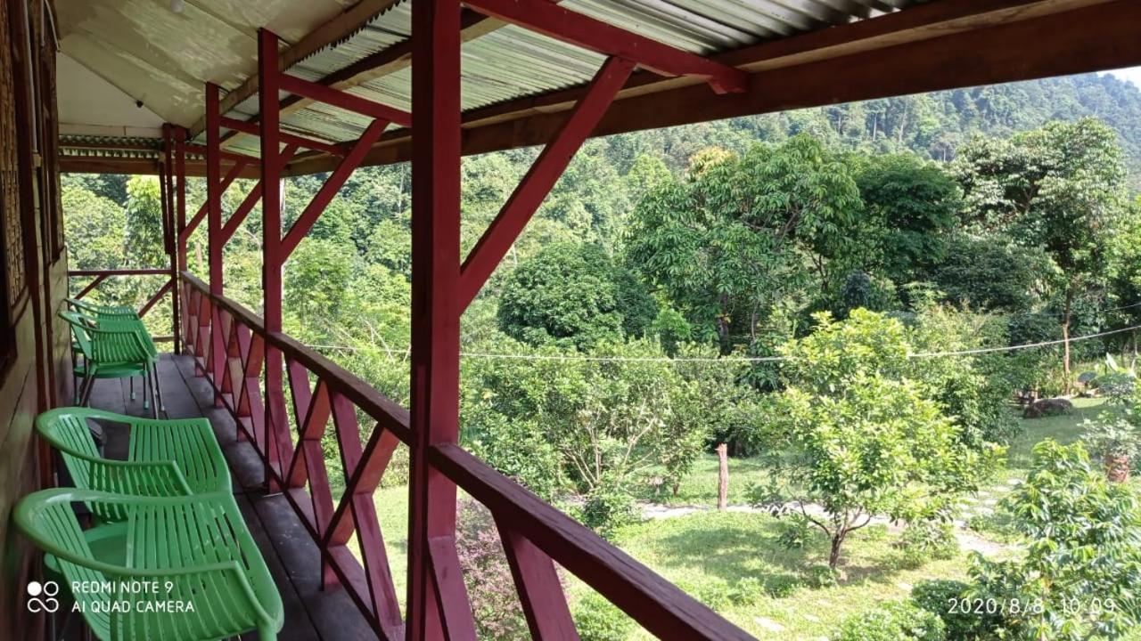 Green Forest Tangkahan Rum bild